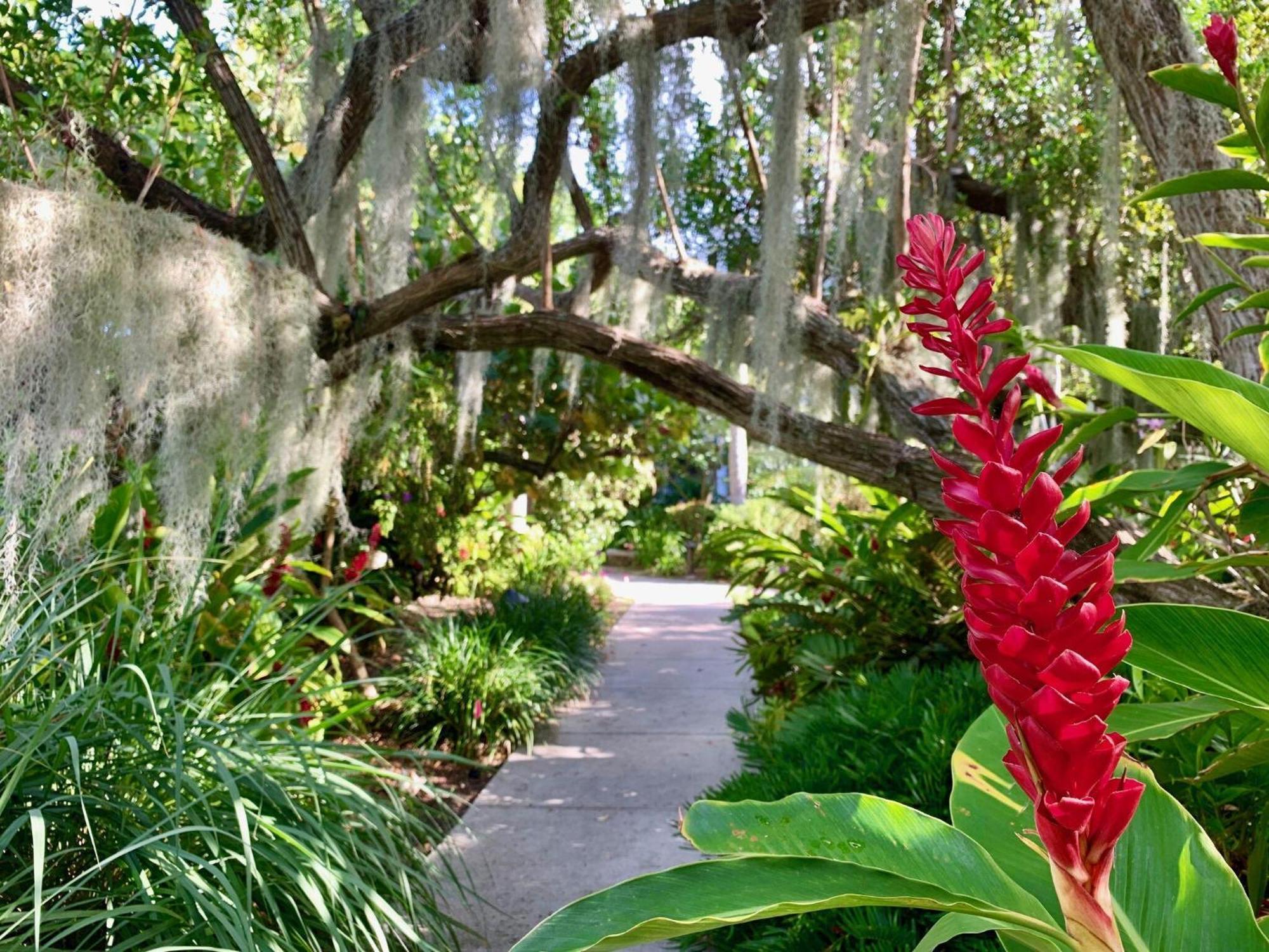 Beautifully Renovated Summer Of 2020 Come And Enjoy This Lovely Unit Key West Zewnętrze zdjęcie